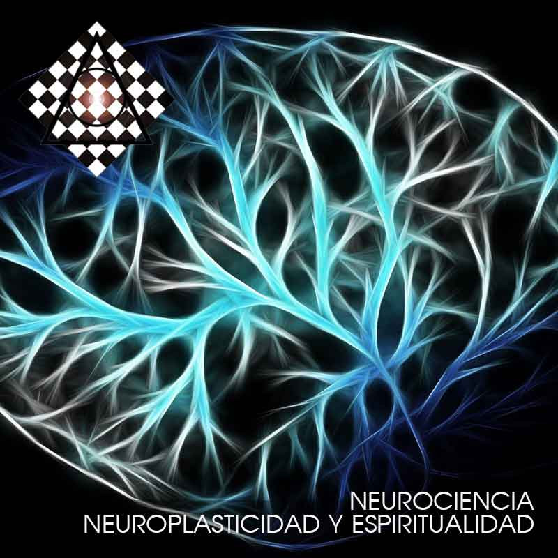 Neurociencia, neuroplasticidad y espiritualidad