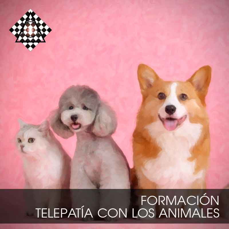 Telepatía con los Animales